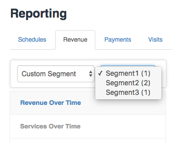 Customer Revenue Segmentation options